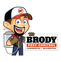 Brody Pest Control Baltimore MD website design and SEO