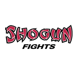 Shogun Fights Baltimore MD website design and SEO